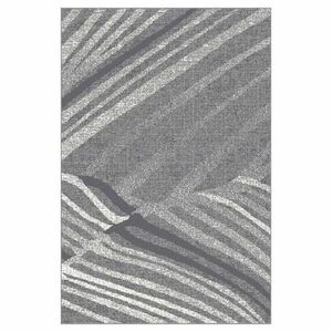 Szőnyeg FD Sensi Cadne 2, 0/2, 8 hamu kép