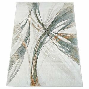 Szőnyeg Cyrus 0, 8/1, 5 A2962A HJY bézs kép