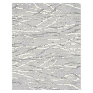 Szőnyeg Aqua 1, 9/2, 7 13282a 33138 szürke kép