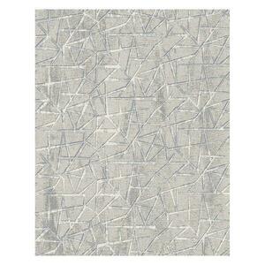 Szőnyeg Aqua 0, 8/1, 5 11712a 33148 szürke kép