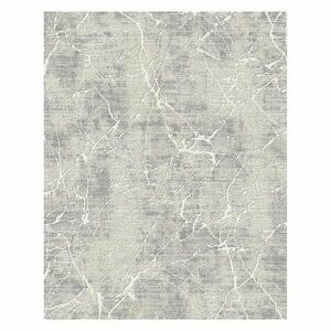 Szőnyeg Aqua 1, 9/2, 7 11700a 33168 szürke kép