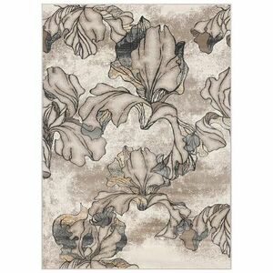 Szőnyeg FD Lida Irys 1, 6/2, 3 gyöngyházfényű kép