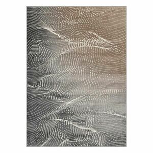 Szőnyeg FD Lida Corin 2/2, 8 hamuszínű kép