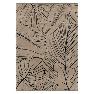 Szőnyeg FD Lida Norio 1, 6/2, 3 világosbézs kép