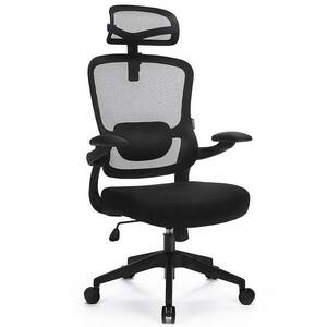 Szék Ergo Basic Lv0652 kép