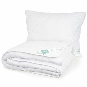 4Home Aloe Premium paplan és párnák szett, 140 x 200 cm, 70 x 90 cm, 140 x 200 cm, 70 x 90 cm kép