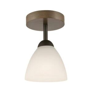 Fali lámpa ADRIANO 1xE27/60W/230V LM 1.55 sonoma kép