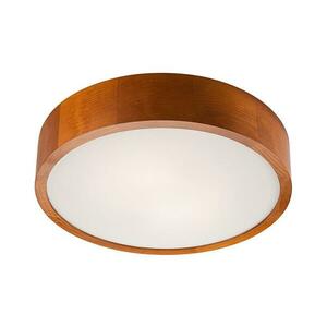 LED mennyezeti lámpa 1xLED/24W/230V LD PD.6.2 LED kép