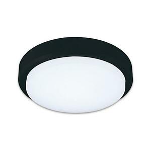 Top Light Mango K kép