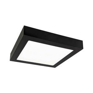 Greenlux LED Mennyezeti lámpa FENIX LED/12W/230V 3800K 17 cm kép