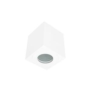 Kültéri spotlámpa SARA 1xGU10/30W/230V IP54 fehér SKU009960 kép