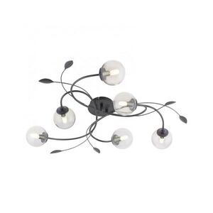 Paul Neuhaus 6737 kép