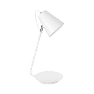 Asztali lámpa TABLE LAMPS 1xE27/60W/230V 8296 kép