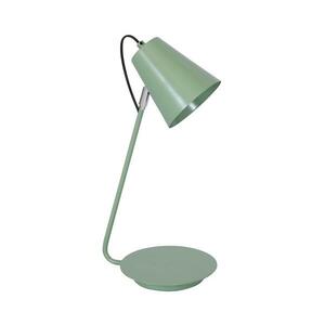 Asztali lámpa TABLE LAMPS 1xE27/60W/230V 8299 kép