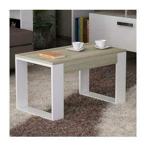 Kávésasztal ARDA 45x60 cm 731WAT2820 kép