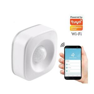 PIR mozgásérzékelő 3xAAA/1, 5V Wi kép