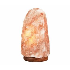 Sólámpa SALLY 1xE14/25W/230V LN kép