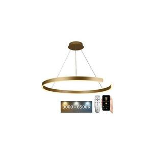 LED állítható fényerejű csillár kábellel LED/100W/230V 3000 kép