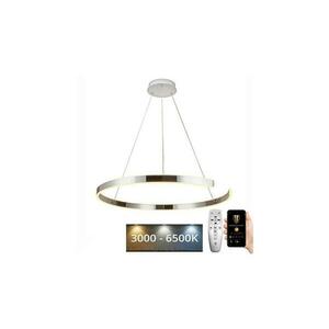 LED állítható fényerejű csillár kábellel LED/100W/230V 3000 kép