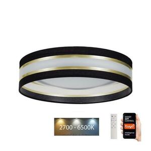 LED Dimmelhető mennyezeti lámpa SMART CORAL LED/24W/230V Wi kép