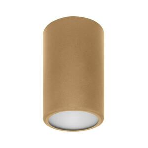 Spotlámpa CLEO 1xE27/24W/230V arany 5907623620675 kép