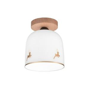 KolarzA1352.11.Au.100 kép