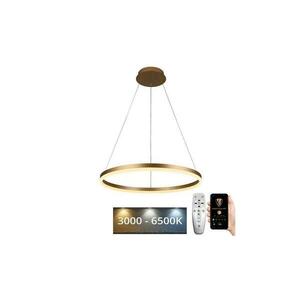 LED állítható fényerejű lámpa kábelre LED/42W/230V 3000 kép