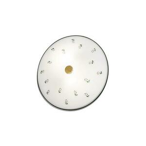 Kolarz 731.U12.4.70 kép