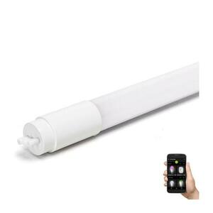 B.V. LED Fénycső T8/18W/230V 6500K 120 cm kép