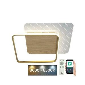 LED Dimmelhető mennyezeti lámpa LED/60W/230V 3000 kép