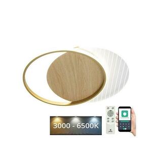 LED Dimmelhető mennyezeti lámpa LED/60W/230V 3000 kép