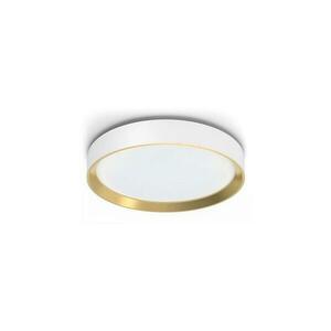 Philips HANNO LED 24W 230V 2700K fehér dimmelhető mennyezeti lámpa 8720169301375 kép