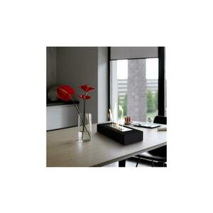 Kratki BIO kandalló INDIA/MAX 10x67 cm 3kW fekete TUV tanúsítvánnyal INDIA/MAX/CZARNY/TUV kép