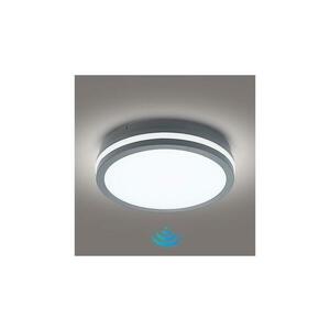 Brilagi BENE LED kültéri lámpa szenzorral, 24W, 230V, 26 cm, IP54 BRI047 kép