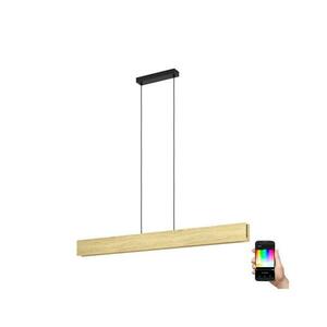 Eglo 900388 - LED RGBW Dimmelhető csillár zsinóron ANCHORENA-Z LED/35W/230V 900388 kép