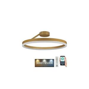 LED állítható mennyezeti lámpa LED/40W/230V 3000 kép