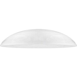 Paul Neuhaus PN 5683 kép