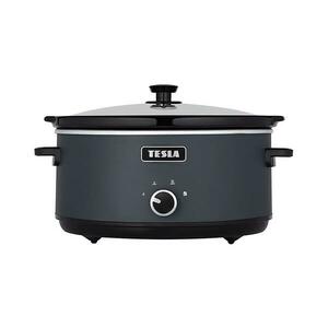 TESLA Electronics SlowCook kép