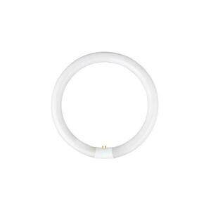 Fénycső YH G10q/28W/230V 6500K kép