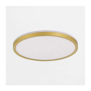 Zuma Line MS748320R kép