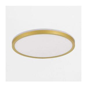 Zuma Line MS748500R kép