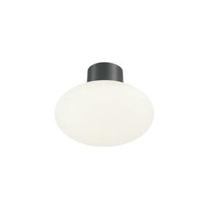 Ideal Lux kültéri mennyezeti lámpa CLIO 1xE27/42W/230V IP44 antracit 148861 kép