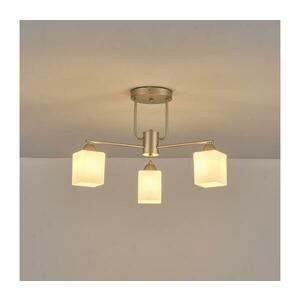 Eurolamp Felületre szerelhető csillár 3xE27/60W/230V 144 kép