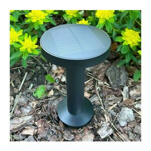 Zuma Line DT33611 kép