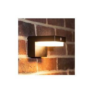 Zuma Line WT33811 kép