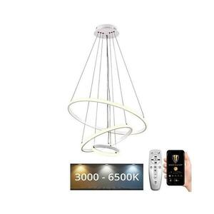 Brilagi - LED dimmelhető kábeles csillár CIRCLE LED/90W/230V 3000-6500K + távirányító BG-J4301/W kép