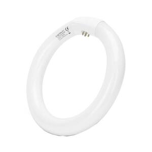 B.V. Fénycső T9 G24q kép