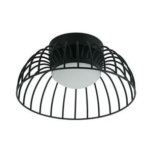 BETSY LED mennyezeti lámpa, 12W/230V, Ø 25 cm, fekete LM kép