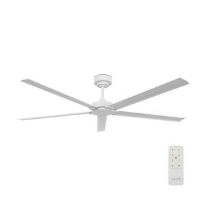 Lucci air 21616049 kép