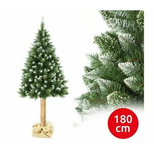 Karácsonyfa törzzsel, 180 cm magas fenyő EL kép